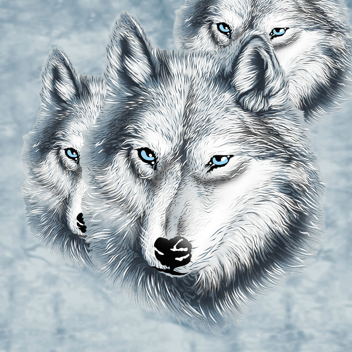 Reversible Extra Large Plush Winter Warmth Printed Mink Blanket | 380GSM Double Sided Soft Velvet Feel Thermal Blanket