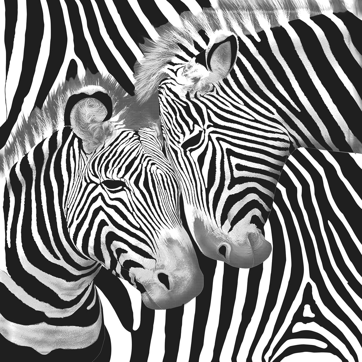 Reversible Extra Large Plush Winter Warmth Printed Mink Blanket | 380GSM Double Sided Soft Velvet Feel Thermal Blanket