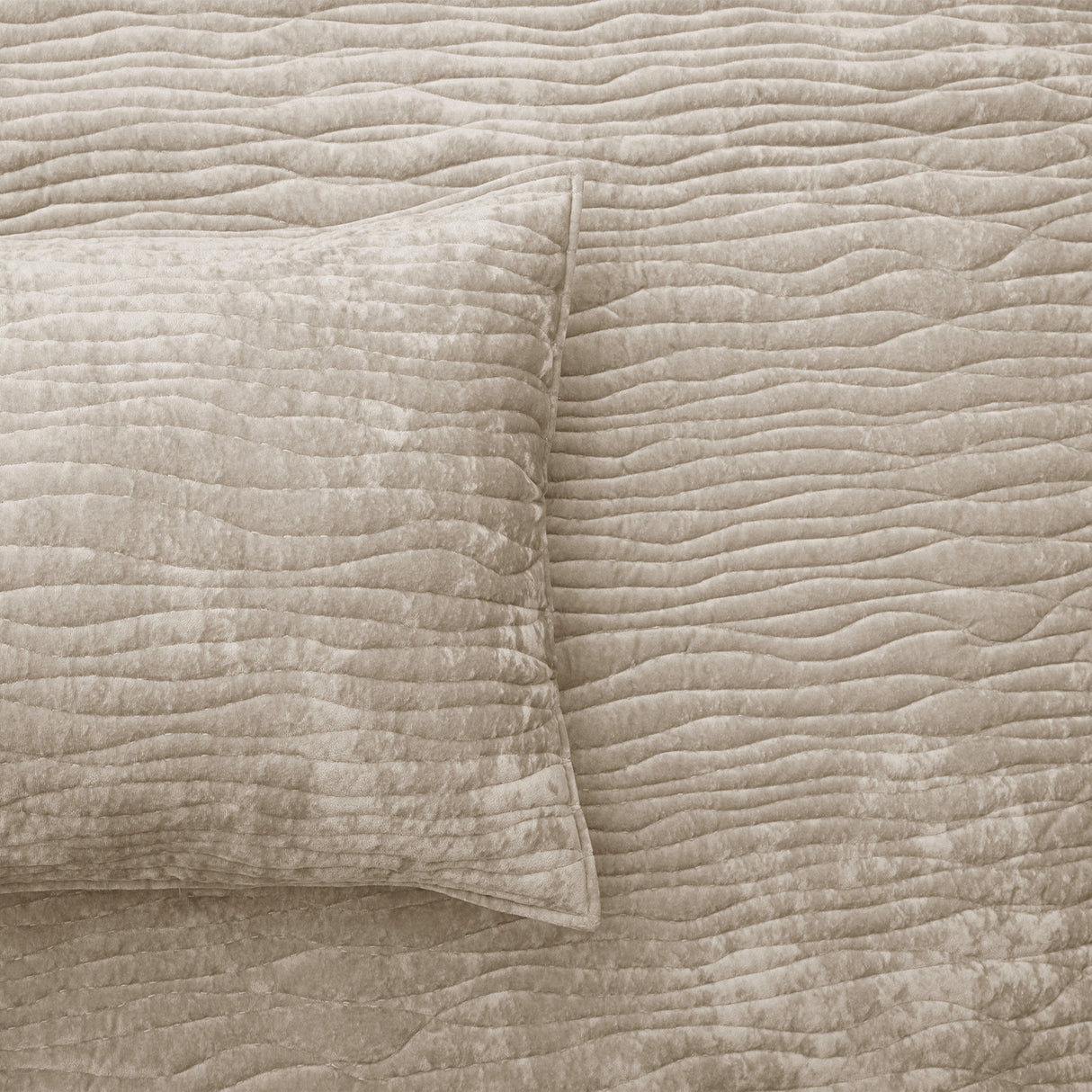 Amara Soft Velvet Plush 3pc Coverlet Set by Renee Taylor | Silky Velvet 100% Cotton Reverse Side