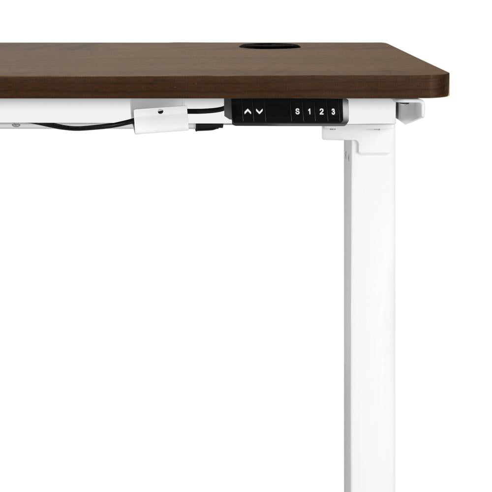 Leno Premium 71-116cm Electric Adjustable Standing Desk | Motorised Office Desk with USB & Type C Ports