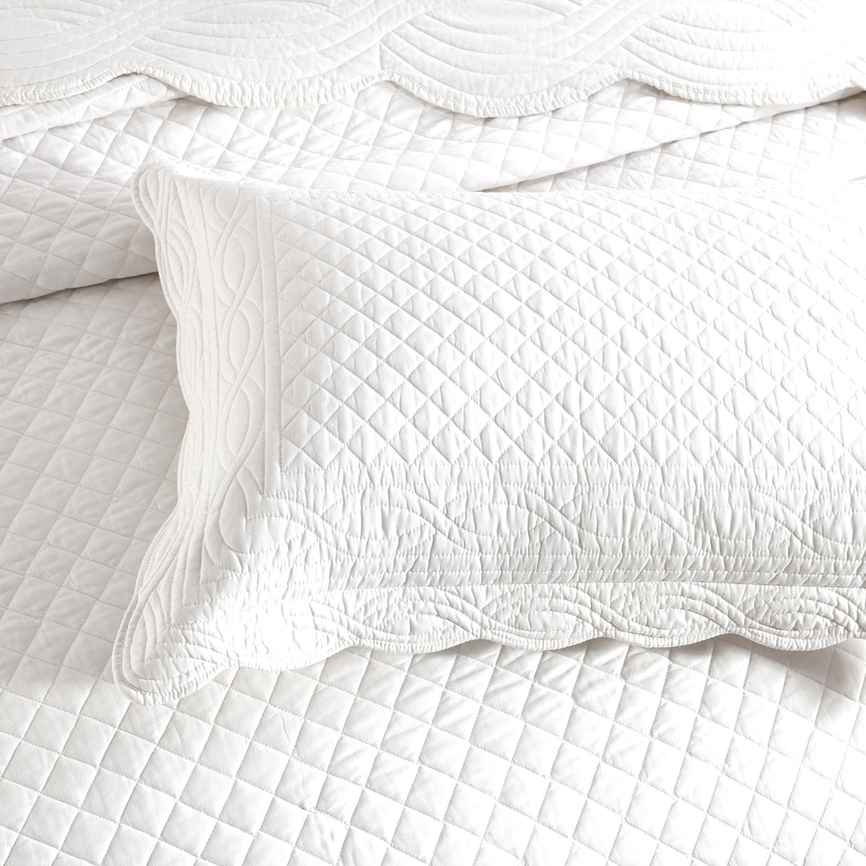 Textured Jacquard Toro Amo 3pc Coverlet Set in Pearl by Renee Taylor | Beautiful Oversized Coverlet