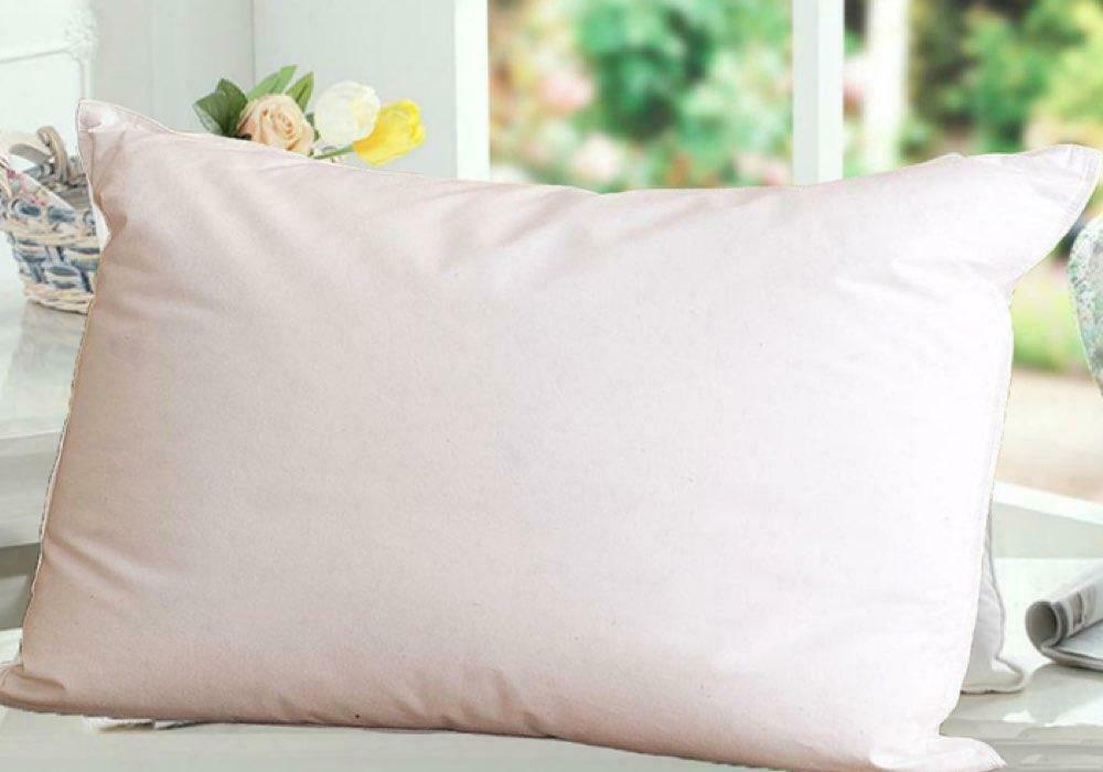 Ramesses Deluxe 30% Down 70% Duck Feather Pillows | 100% Cotton Cover Pillows