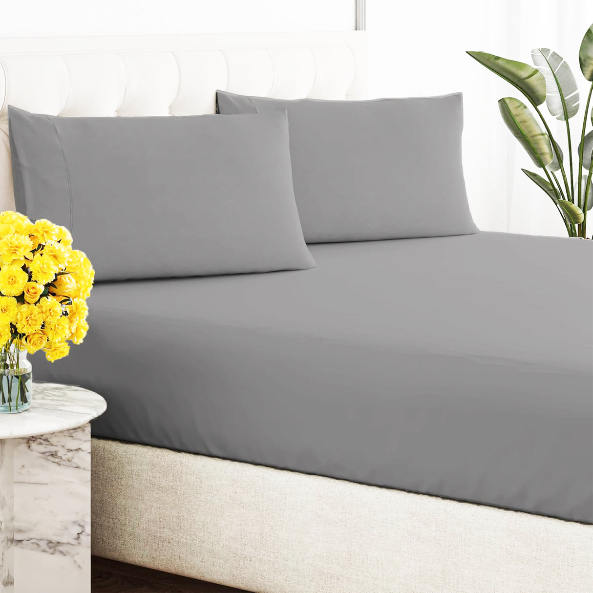300TC 100 % Certified Organic Cotton Fitted Combo Set by Renee Taylor | Premium Cotton Fitted Sheet Set