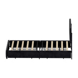 Marlisse 4 Draw Plush Velvet Black Storage Bed | Adjustable Bedhead LED Lighting Padded Bed Frame