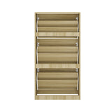 Amaro Noire Shoe Rack Cabinet | Modern Feature 30 Pair Shoe Storage Unit